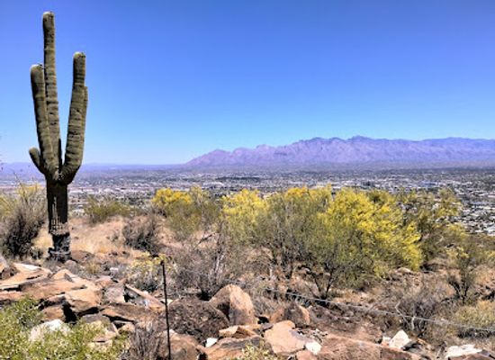 arizona/santa-catalina-mountains/landmark/tumamoc-hill