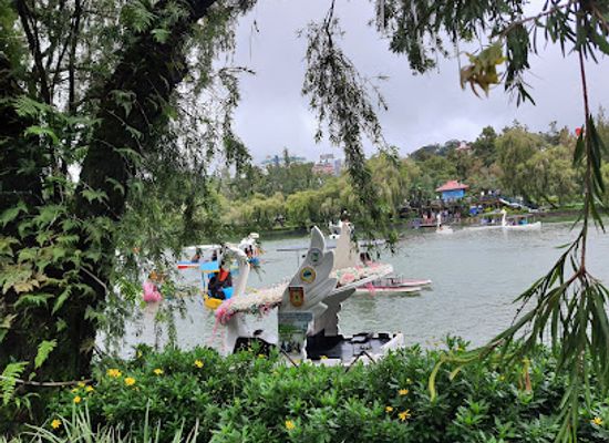 philippines/baguio/burnham-park/landmark/lake-drive-burnham-park