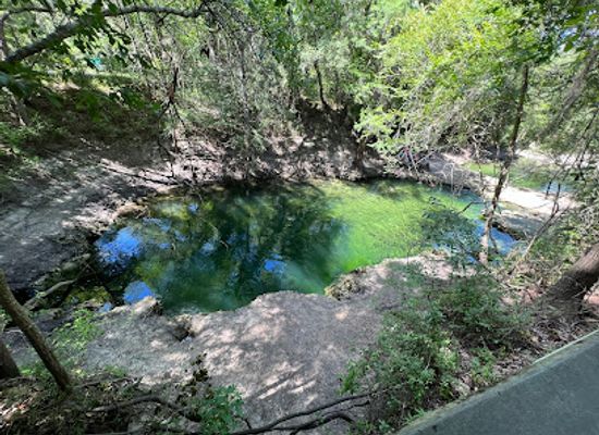 florida/suwannee-river/landmark/lafayette-blue-springs-state-park