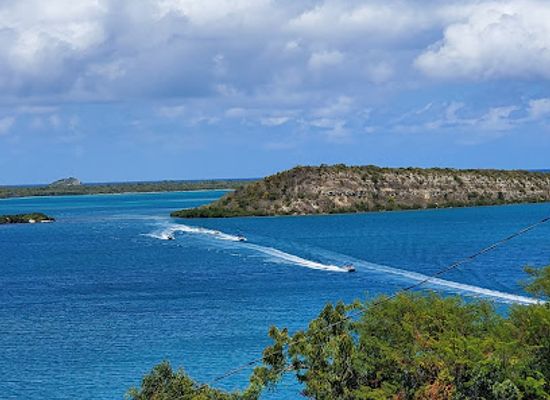 antigua-and-barbuda/saint-john/landmark/antigua-rainforest-canopy-tour