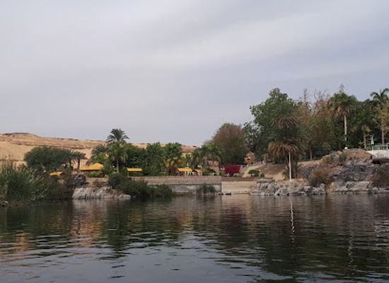 egypt/aswan/elephantine-island/landmark/animalia