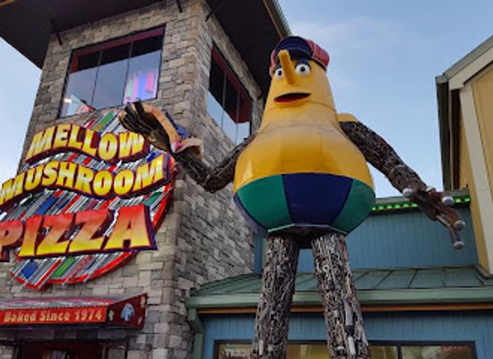 tennessee/pigeon-forge/landmark/island-mirror-maze
