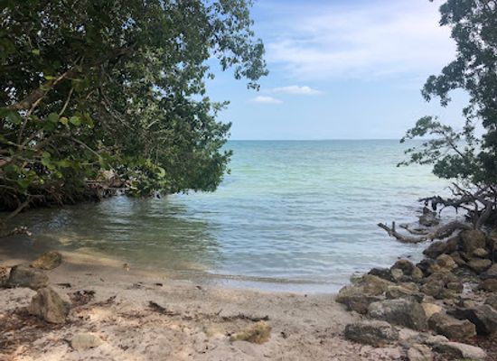 belize/corozal-district/landmark/mangrove-park