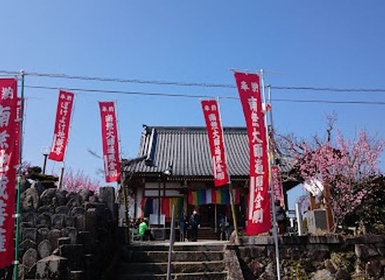 japan/nara/landmark/tsukigase-plum-grove