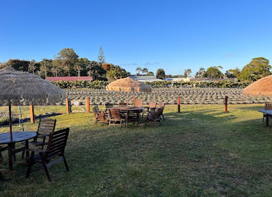 norfolk-island/mount-pitt/landmark/lavender-farm-fitzys-farm