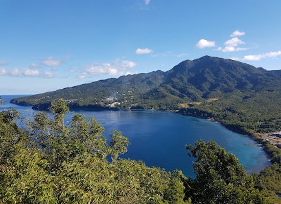 dominica/saint-mark/landmark/purple-turtle-beach-club
