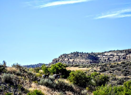 wyoming/powder-river-basin/landmark/legend-rock-state-petroglyph-site