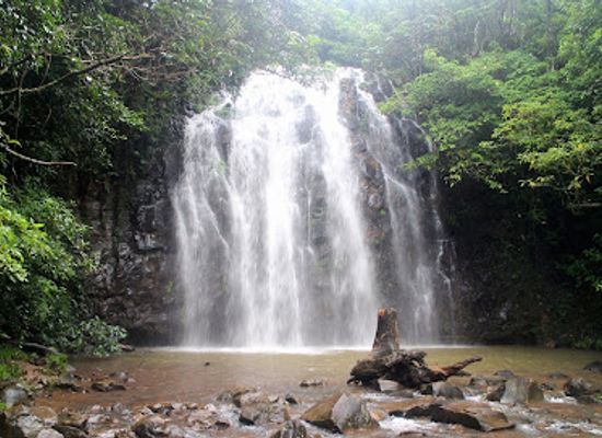 australia/atherton-tablelands/landmark/mungalli-falls