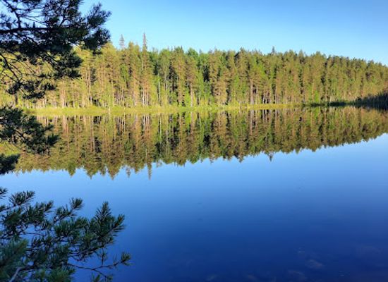 finland/repovesi-national-park/landmark/repovesi-national-park-saarijarvi-parking-lot