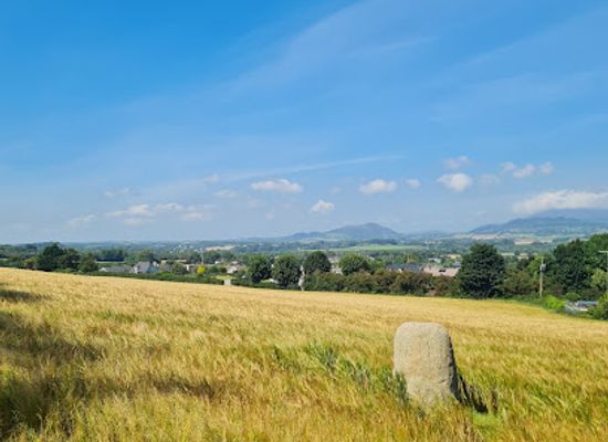 ireland/county-louth/landmark/bronze-age-monolith
