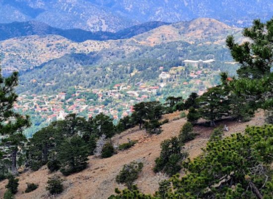 cyprus/machairas-forest/landmark/artemis-trail