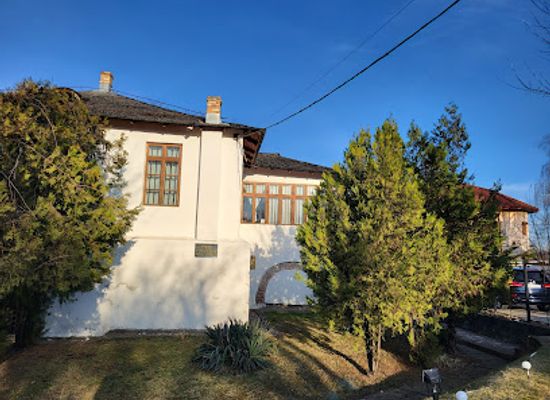 romania/dambovita/landmark/muzeul-vasile-blendea
