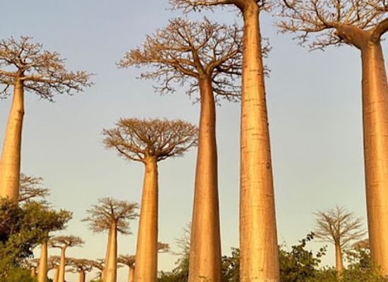 madagascar/antananarivo/landmark/madacartour