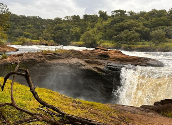 uganda/murchison-falls-national-park/landmark/murchison-falls-safaris