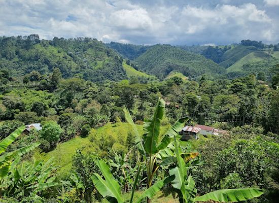 colombia/risaralda-department/landmark/coffee-tour-luger