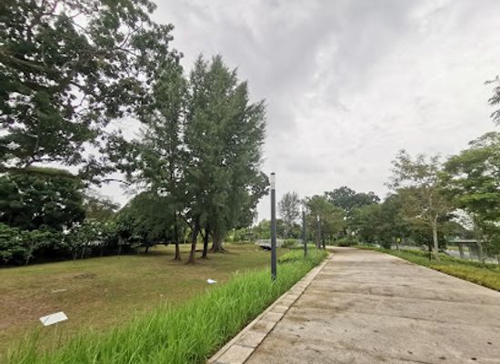 singapore/northeast-region/landmark/round-island-route-heritage-trees