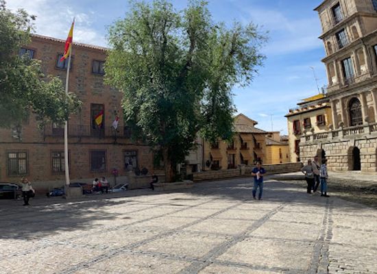 spain/madrid/malasana/landmark/church-of-saint-anthony-of-the-german