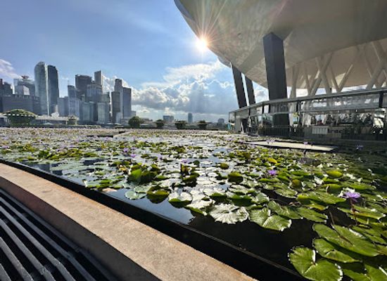 singapore/kallang/landmark/artscience-museum