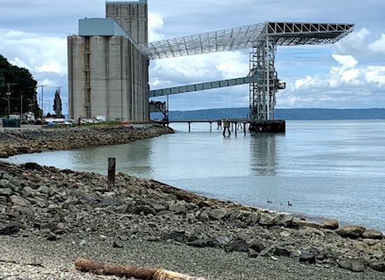 washington/tacoma/landmark/thea-s-park