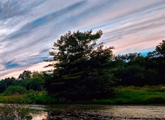 indiana/anderson/landmark/killbuck-wetlands