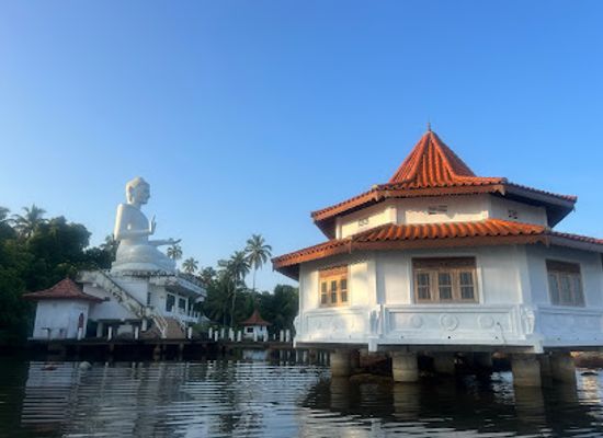 sri-lanka/bentota/landmark/river-safari-bentota-by-stt
