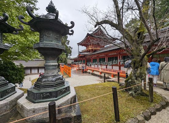 japan/nara/landmark/mt-kasuga-primeval-forest