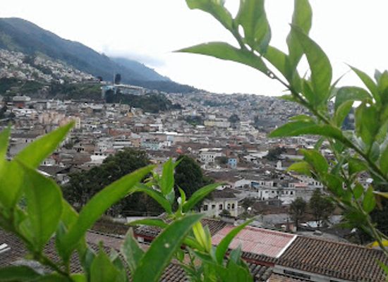 ecuador/quito/la-floresta/landmark/calle-la-ronda