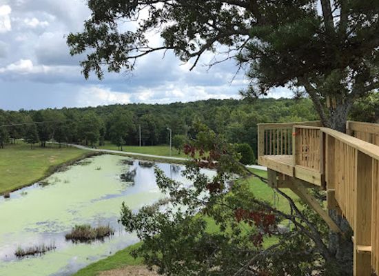 tennessee/sequatchie-valley/landmark/bigfoot-adventure-tn-zipline