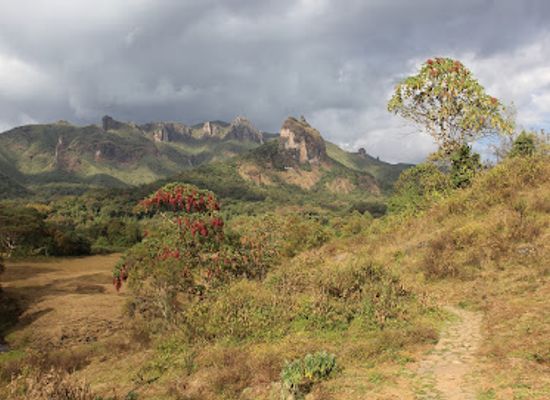 ethiopia/gondar/goha-tsion/landmark/bale-mountains-national-park