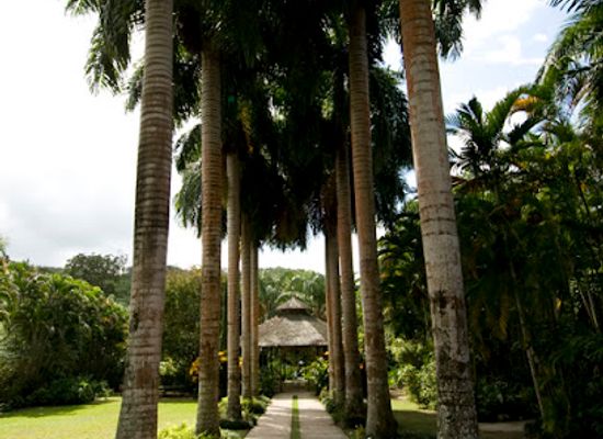 jamaica/cornwall-county/landmark/cranbrook-flower-forest