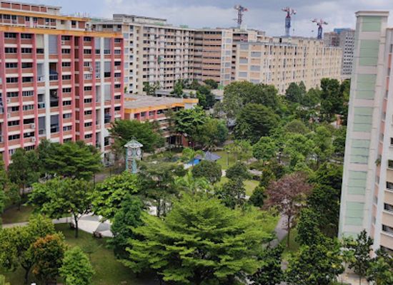 singapore/tampines/landmark/tampines-central-park
