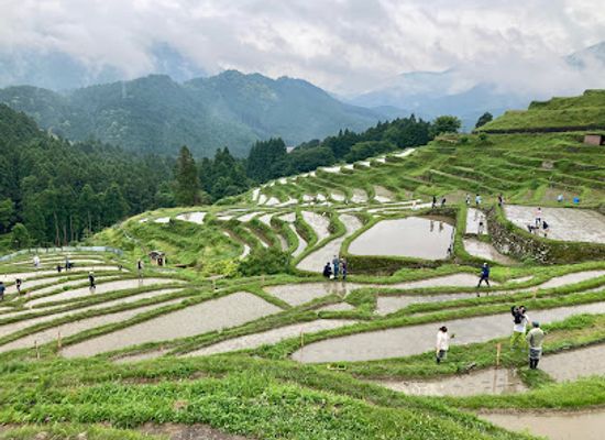 japan/ise/landmark/maruyama-senmaida