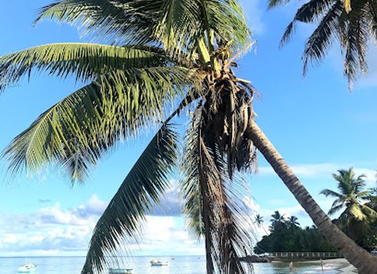 seychelles/felicite-island/landmark/maison-marengo