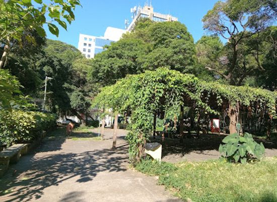 brazil/sao-paulo/jardins/landmark/parque-prefeito-mario-covas