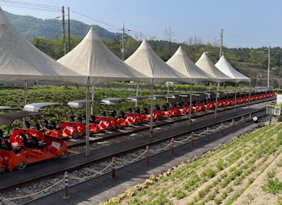 south-korea/gangwon-province/landmark/gangchon-rail-park