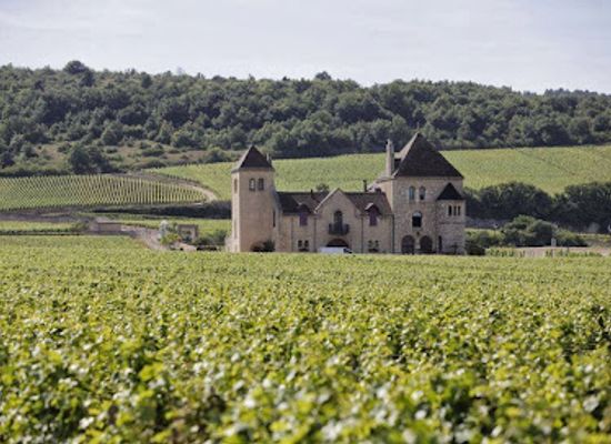 france/burgundy-vineyards/landmark/burgundy-by-request