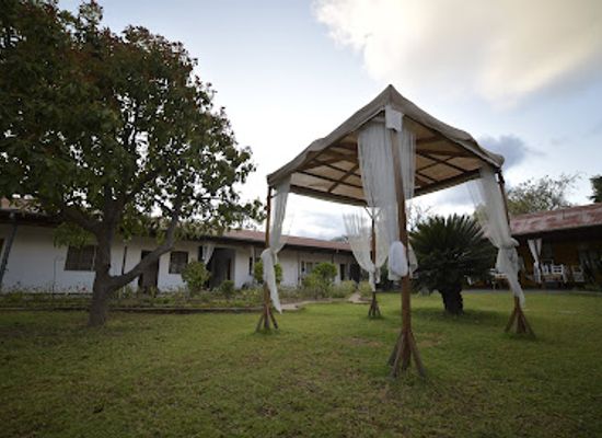 tanzania/iringa/landmark/mama-iringa