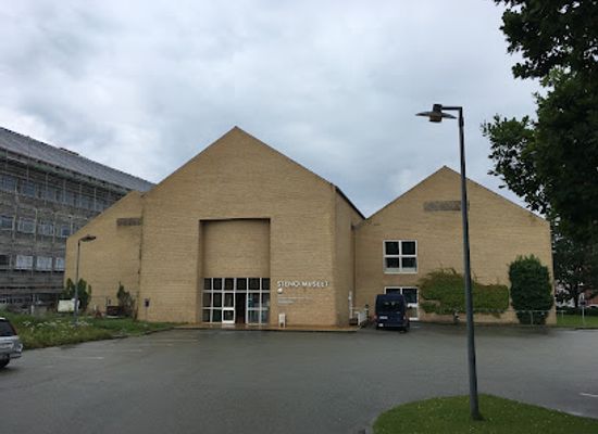 denmark/aarhus/ogadekvarteret/landmark/steno-museum