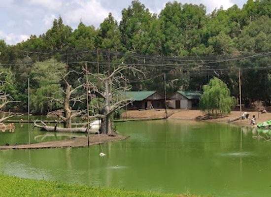georgia/samegrelo-zemo-svaneti/landmark/shekvetili-dendrological-park