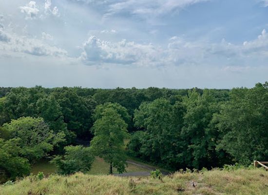tennessee/hatchie-river-area/landmark/pinson-mounds-state-archaeological-park
