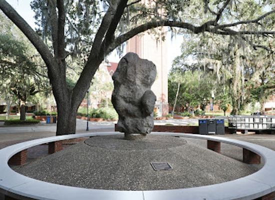 florida/gainesville-area/landmark/turlington-rock