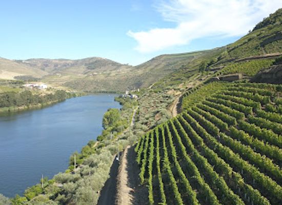 portugal/douro/landmark/quinta-do-bomfim