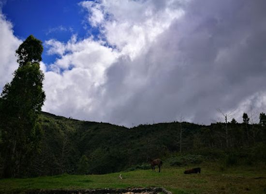 haiti/grand-anse/landmark/pic-macaya-national-park