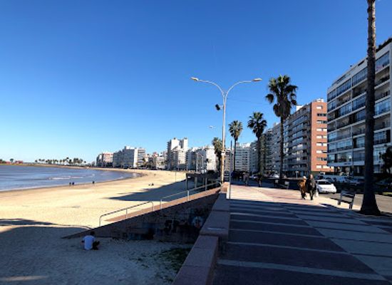 uruguay/montevideo/pocitos/landmark/de-los-pocitos-beach