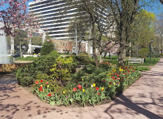 new-york/white-plains/landmark/j-harvey-turnure-memorial-park