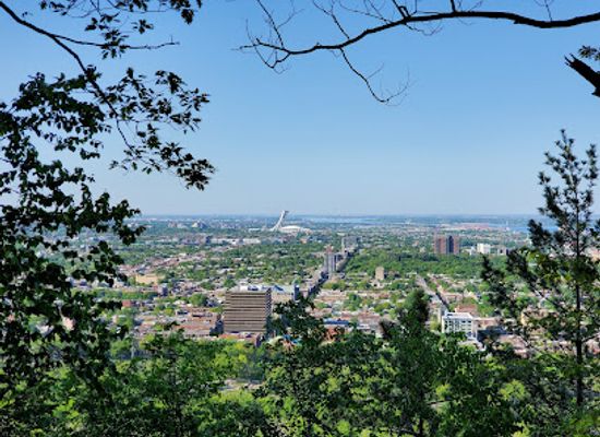 canada/montreal/landmark/mount-royal-cross