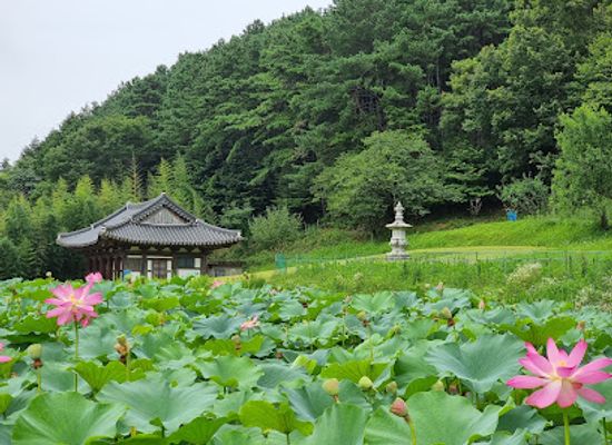 south-korea/honam-region/landmark/honglyeon-am