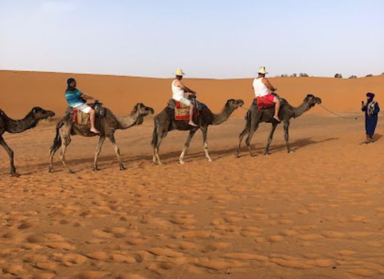 morocco/saharan-morocco/landmark/arbol-de-la-ciencia