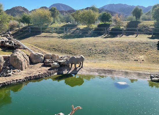 california/colorado-desert/landmark/the-living-desert-zoo-and-gardens