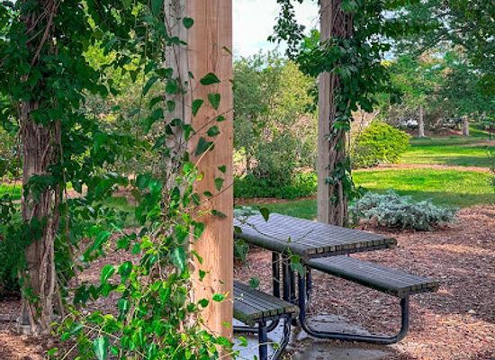 nebraska/lincoln/university-place/landmark/maxwell-arboretum